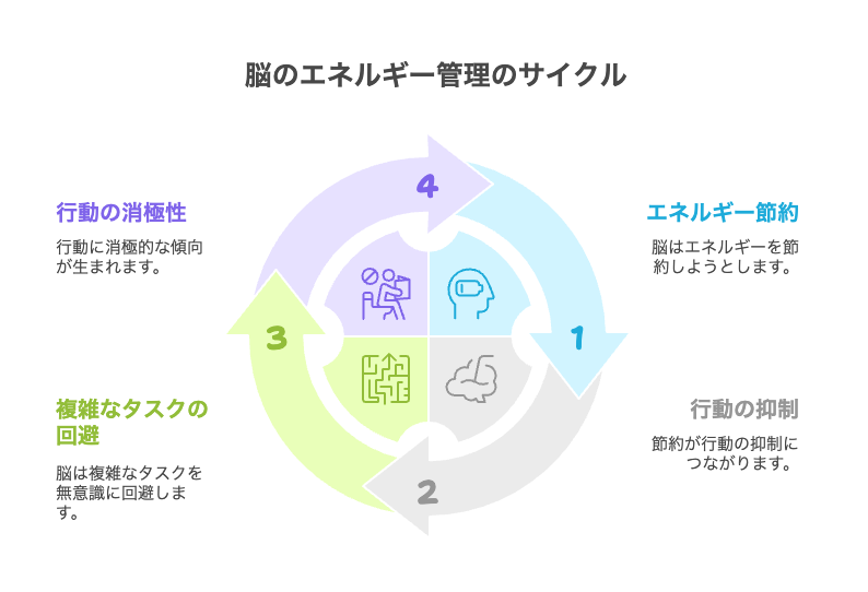 脳のエネルギー管理のサイクル