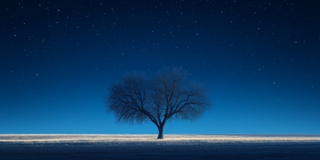 1本の木と空と地平線